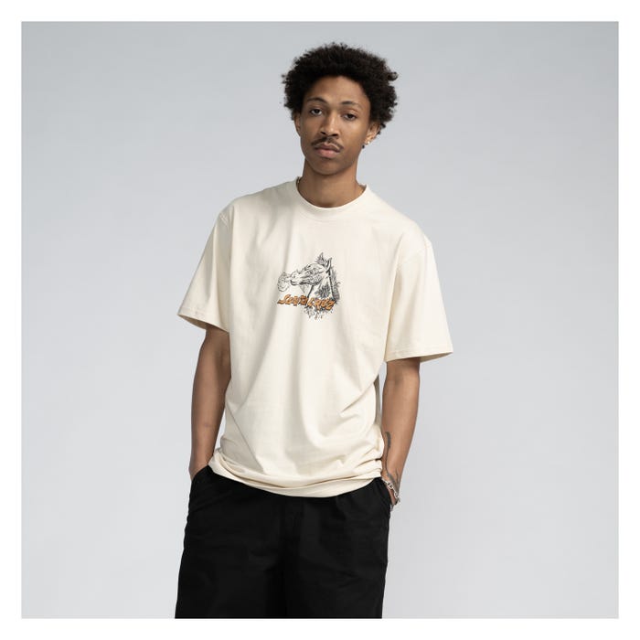 CAMISETA SANTA CRUZ | WOOTEN FEVER DREAM
