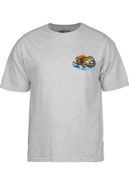 Camiseta Niño POWELL PERALTA |  Oval Dragon